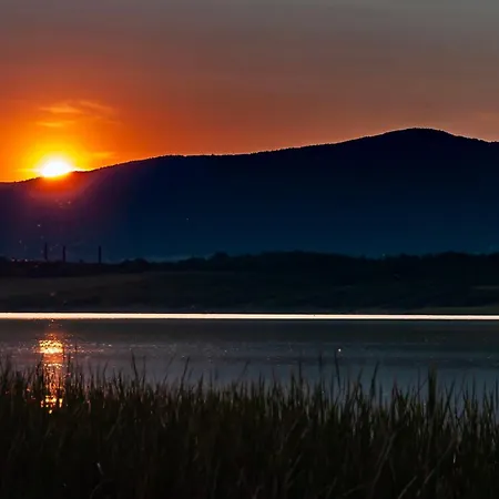 Lisci Jezero