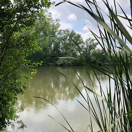 Lisci Jezero Κάμπινγκ *