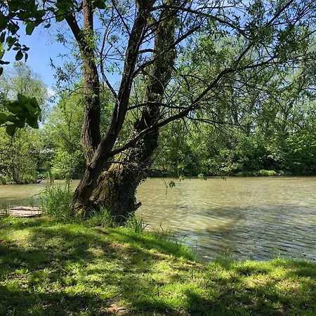 キャンプ場 Lisci Jezero Ústí nad Labem