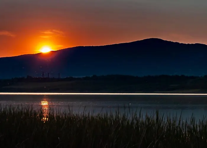 Lisci Jezero