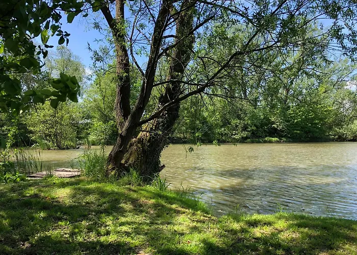 Kemping Lisci Jezero Ústí nad Labem